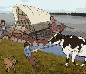 Detailed, realistic line drawing from a middle grade childrens book about the American West showing a pioneer family crossing a river with their wagon and livestock by award-winning children’s book illustrator Paula Tabor