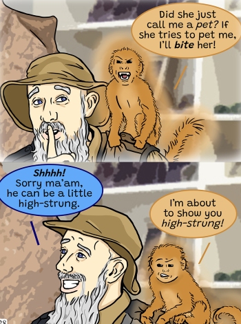 Detailed, realistic line drawing from comic page of a childrens book showing a man having a conversation with a magical monkey by award-winning children’s book illustrator Paula Tabor