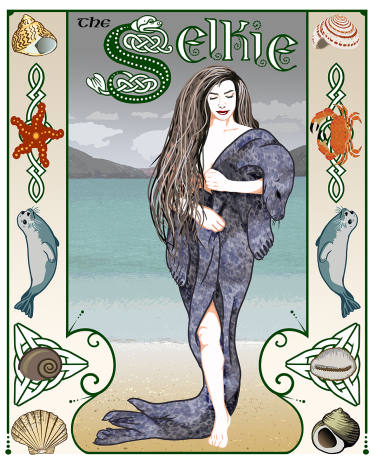 Book and poster illustration of a Selkie, a Celtic mythological creature who sheds her seal skin when stepping onto land with a hand lettered title and decorative border.