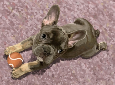 Digitally Painted Pet Portrait French Bulldog