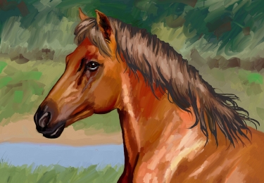 Digitally Painted Animal Portrait Horse