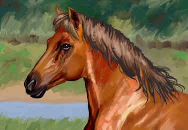 Custom digital pet portrait of a brown horse with a grey mane and black nose.