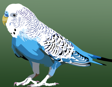 Stylized art of a blue and white parakeet against a green background.